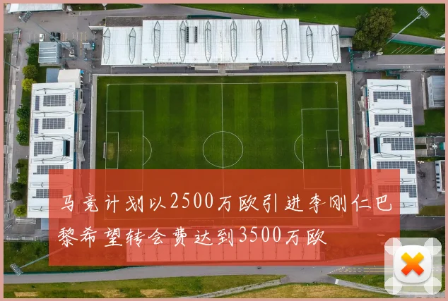马竞计划以2500万欧引进李刚仁巴黎希望转会费达到3500万欧