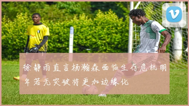 徐静雨直言杨瀚森面临生存危机明年若无突破将更加边缘化