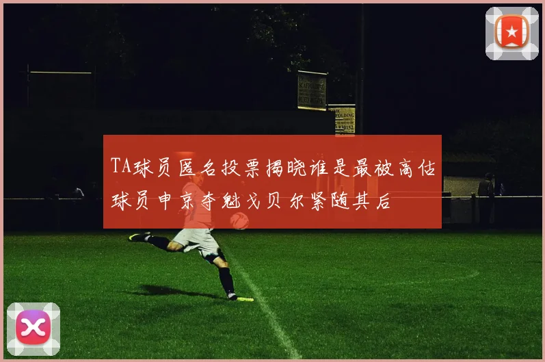 TA球员匿名投票揭晓谁是最被高估球员申京夺魁戈贝尔紧随其后