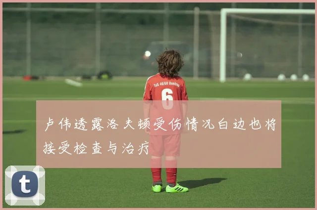 卢伟透露洛夫顿受伤情况白边也将接受检查与治疗